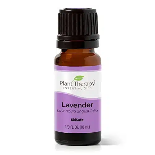 Plant Therapy Lavender Essential Oil % Pure, Undiluted, Therapeutic Grade, Aromatherapy Diffuser for Relaxation and Body Care, Healthy Skin and Hair, mL (oz)