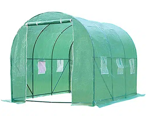 Greenhouse for Outdoors Greenhouse Walk in Green House L'x'xH' Plastic Mini Greenhouse Kit Indoor Portable Greenhouse Plant Shelves Tomato Herb Canopy for Patio