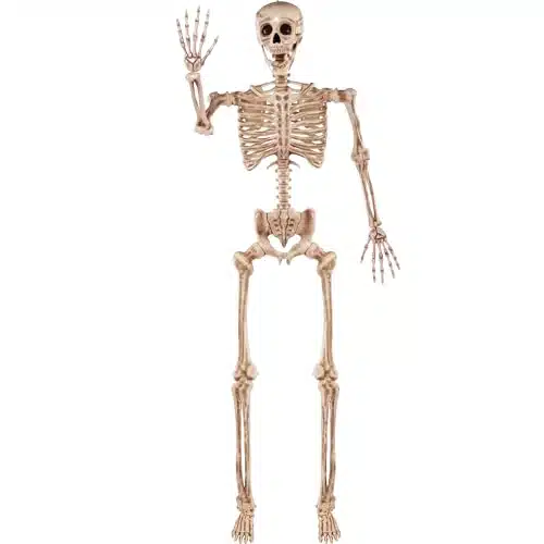 JOYIN FT Halloween Posable Life Size Skeleton Full Body Realistic Bones with Movable Joints for Halloween Indoor and Outdoor Decoration