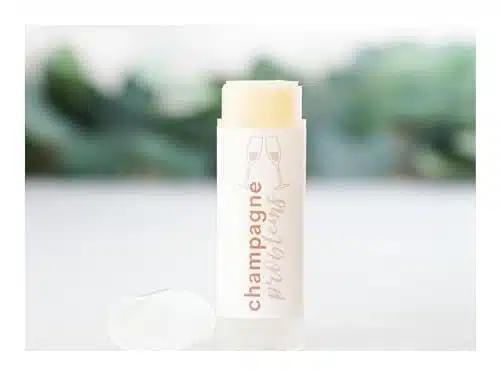 Swiftie Swag   Champagne Problems Lip Balm Small Gift for Taylor Swift Fan chapstick stocking stuffer