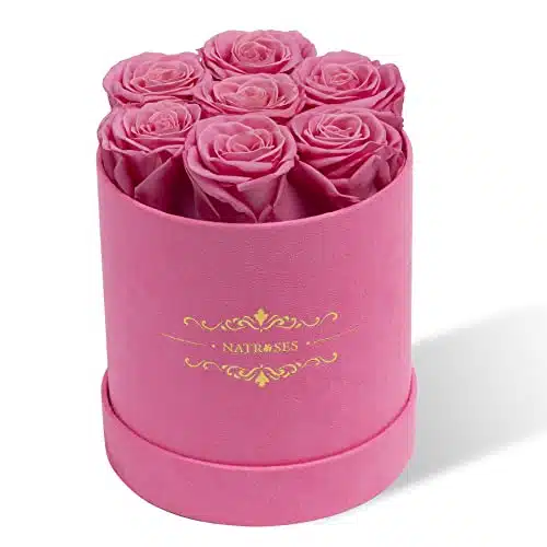 NATROSES Preserved Roses in a Round Box, % Real Roses That Last Up to Years, Flowers for Delivery Prime, Valentines Day Rose for Her, Mothers Day Roses, Anniversary (Pink)