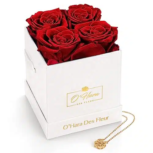 O'hara Des Fleur  Red Preserved Roses with Necklace  Fresh Flowers Forever  Rose Box  Gift for Anniversary & Birthday Gifts for Woman  Fresh Real Roses That Last a Year  Square White Box