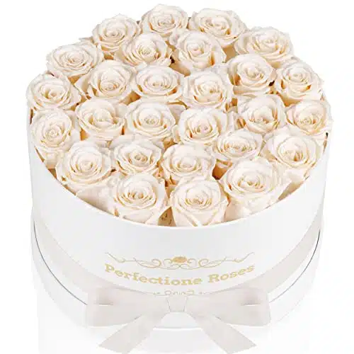 Perfectione Roses Forever Real Roses in a Box, Preserved Rose That Last Up to Years, Flowers for Delivery Prime Birthday Valentines Day Gifts for Her, Mothers Day Flower (Buttermilk)