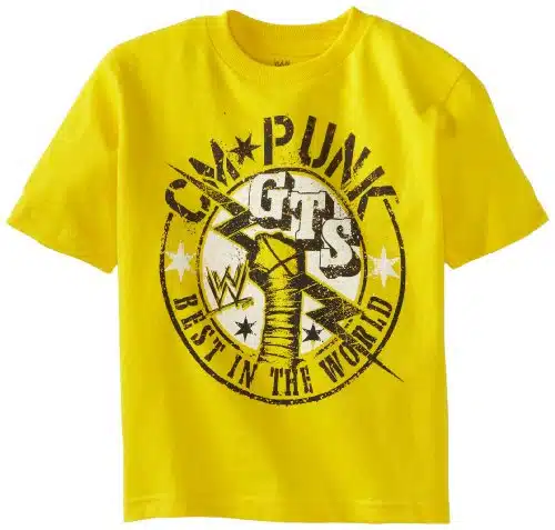 WWE Little Boys' CM Punk T Shirt, Yellow,