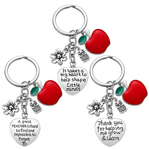 iWenSheng Teacher Gifts   PCS Teacher Keychain Appreciation Gifts for Women Christmas Valentines Day Gifts for Teacher