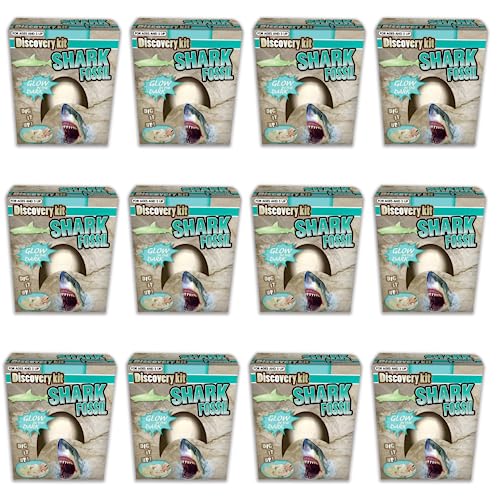 WARM FUZZY Toys Full Case of Shark Eggs Toys   Shark Fossil Egg with Assorted Glow in The Dark Shark Inside, Egg Digging Educational Science Kits for Kids, Kids Party Favors